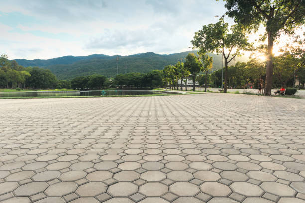 Best Affordable Driveway Paving  in Lake Shore, WA